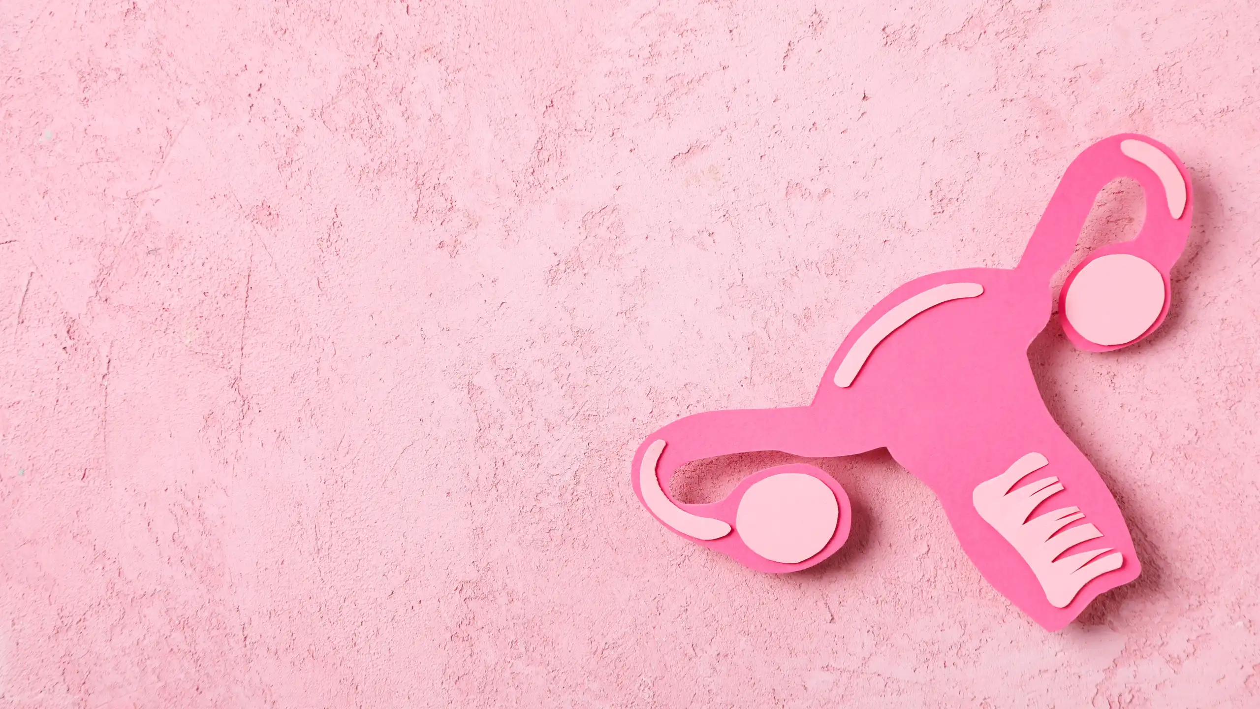 საშვილოსნოს ღრუს პოლიპი – რა უნდა ვიცოდეთ?